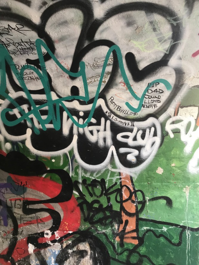 20190203_114709772_iOS