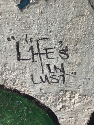 20190203_114715945_iOS