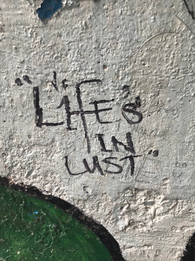 20190203_114715945_iOS