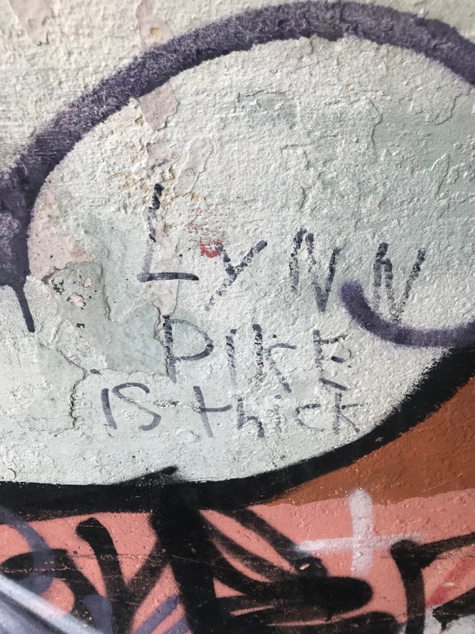 20190203_114726921_iOS