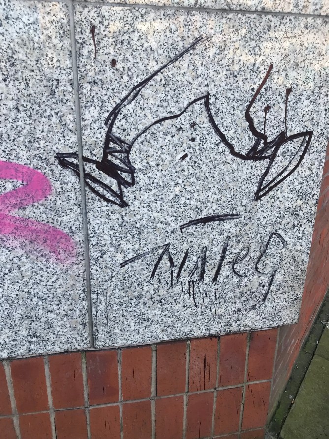 20190203_114916228_iOS