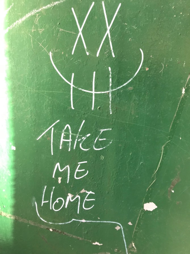 20190203_130153169_iOS