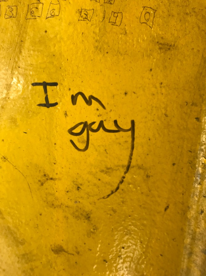 20190203_131359470_iOS - Copy