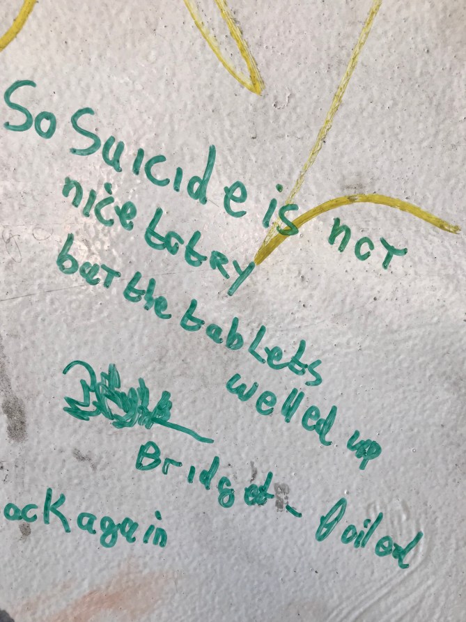 20190203_131415204_iOS - Copy