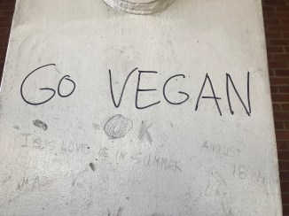 20190203_131431251_iOS - Copy