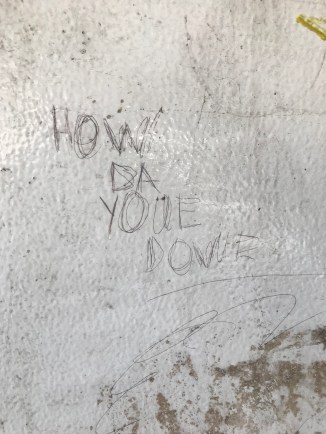 20190203_131458742_iOS - Copy