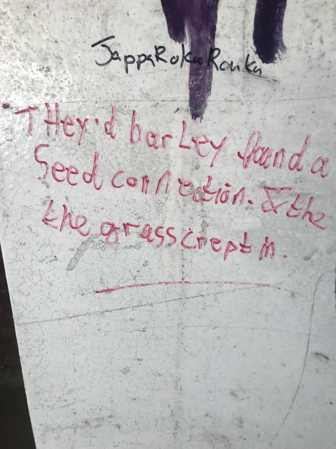 20190203_131530647_iOS - Copy