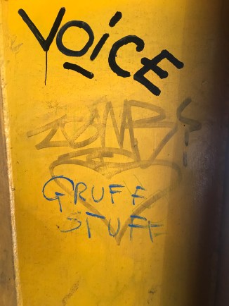 20190203_131537393_iOS - Copy