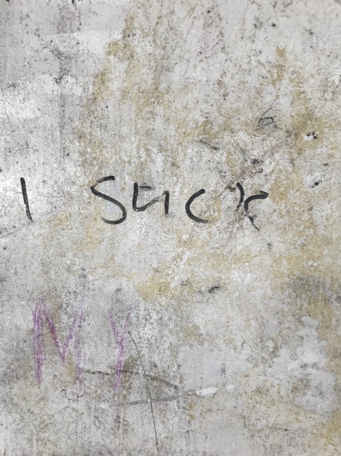 20190203_131543011_iOS - Copy