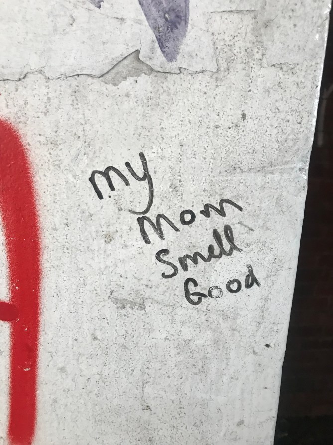 20190203_131553739_iOS - Copy