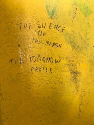 20190203_131612174_iOS - Copy