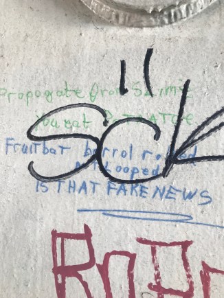 20190203_131625813_iOS - Copy