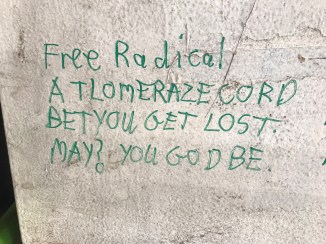 20190203_131653122_iOS - Copy