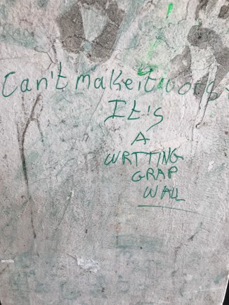 20190203_131658700_iOS - Copy