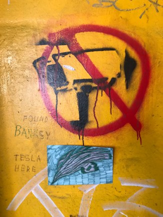 20190203_131717116_iOS - Copy