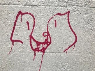 20190228_164514490_iOS