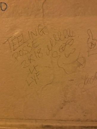 20190228_202029531_iOS