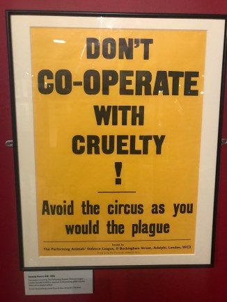 20190302_152833781_iOS