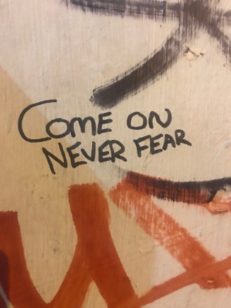 20190304_194158989_iOS