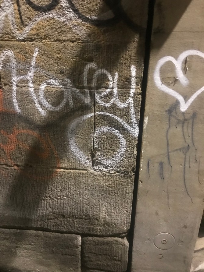 20190309_201514134_iOS