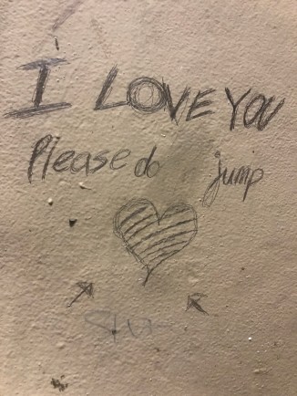 20190309_201556300_iOS