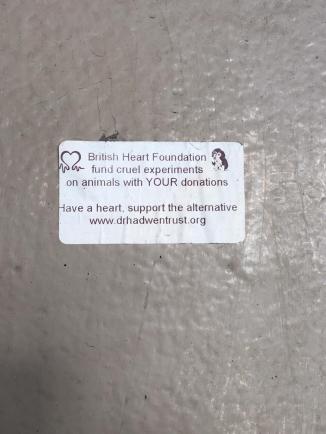 20190311_074127390_iOS 1