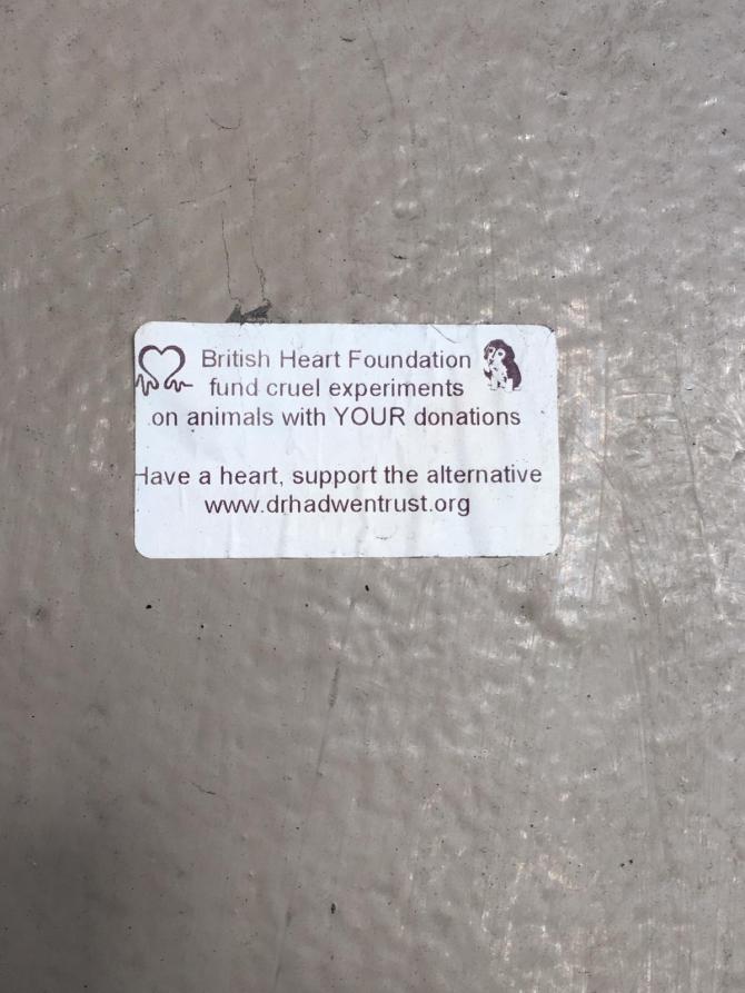 20190311_074127390_iOS 1