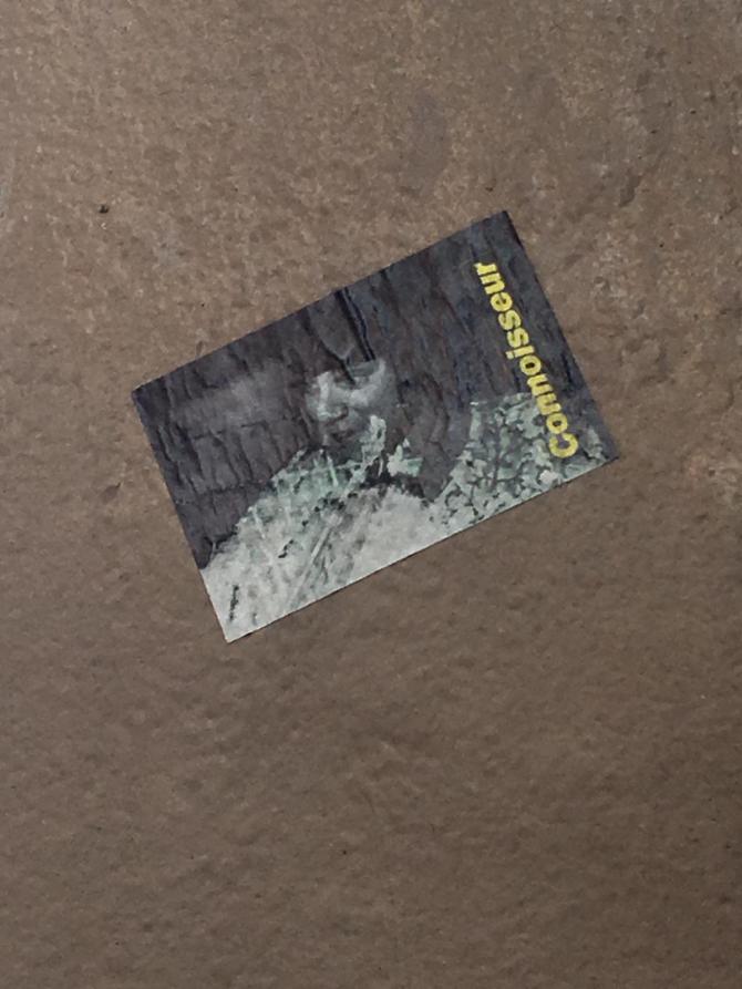 20190311_074127429_iOS