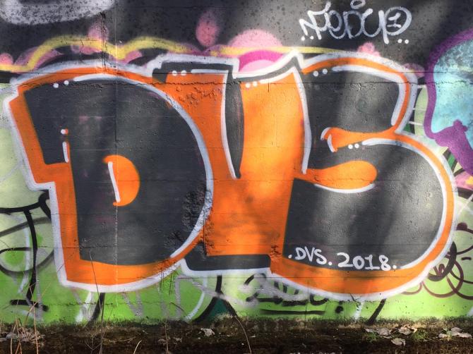 20190311_074214495_iOS