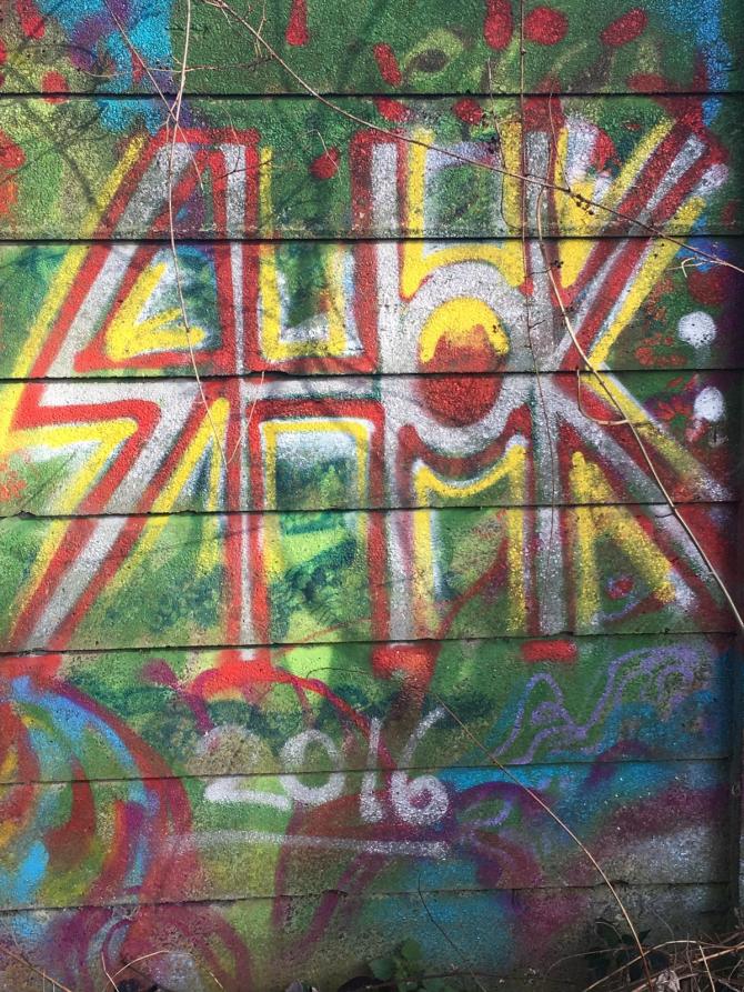 20190311_074225485_iOS 1