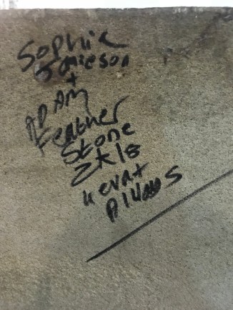 20190311_193758281_iOS