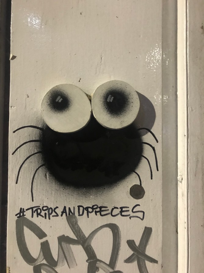 20190312_202956831_iOS