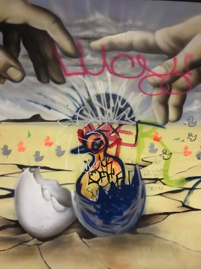 20190312_203629838_iOS