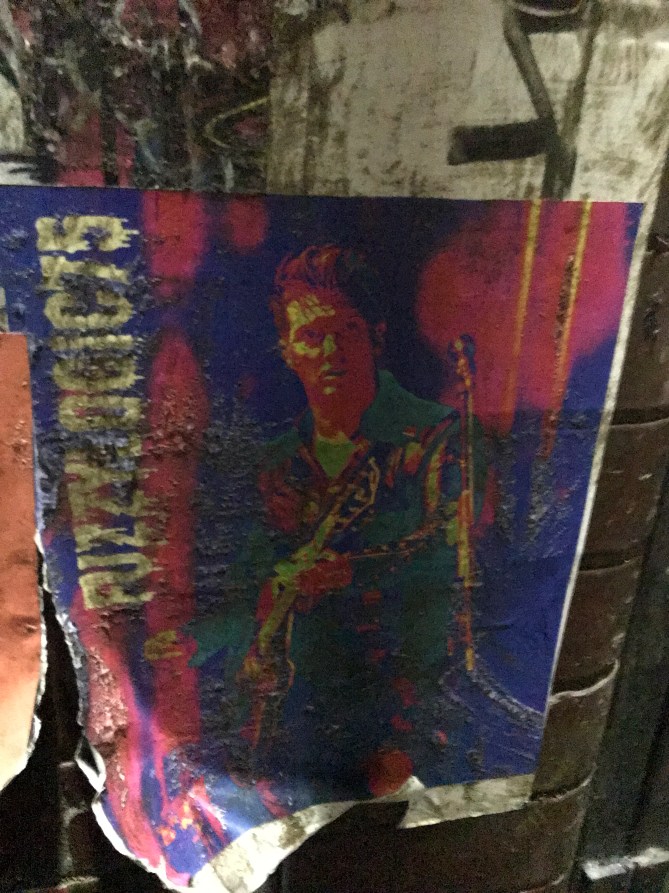 20190312_203749751_iOS