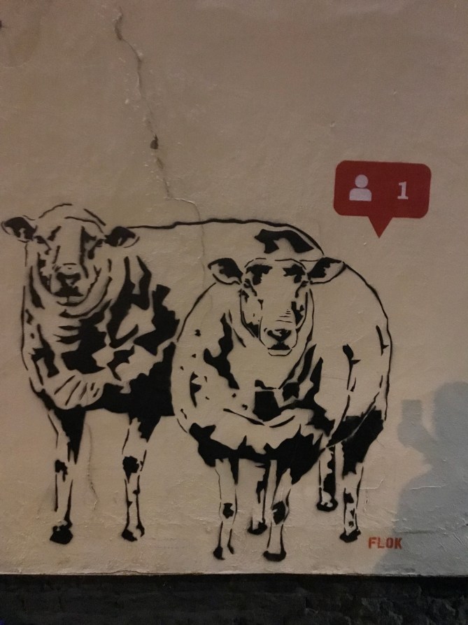 20190312_203943447_iOS