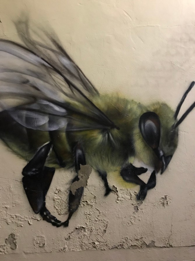 20190312_203952237_iOS