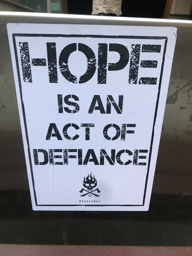 20190313_173730764_iOS