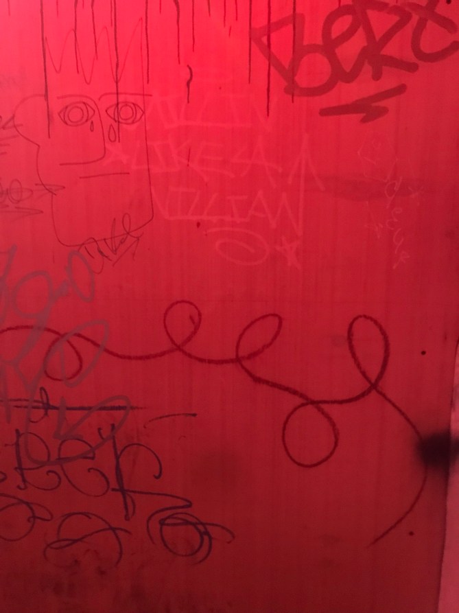 20190313_201742678_iOS