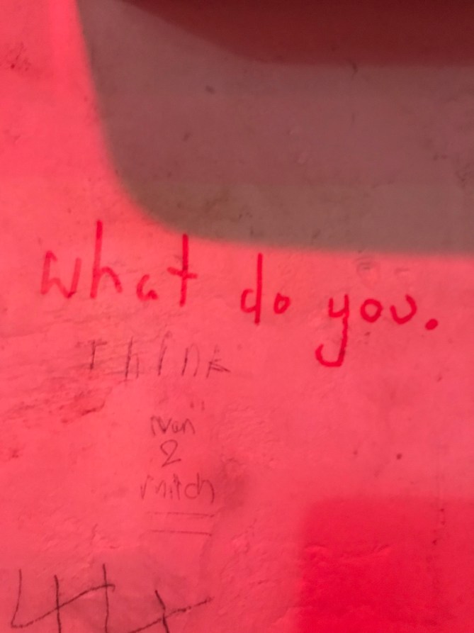 20190313_201755967_iOS