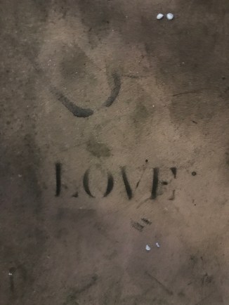 20190314_205627928_iOS