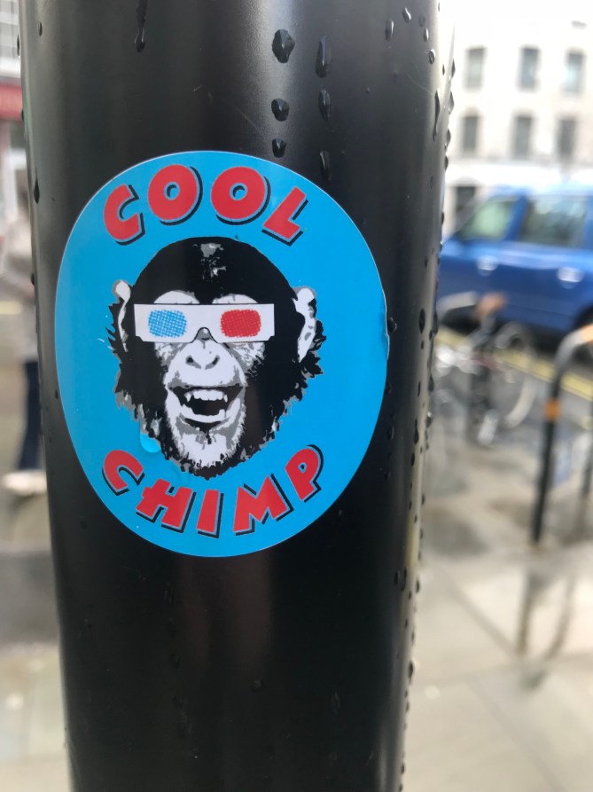 20190317_161622938_iOS