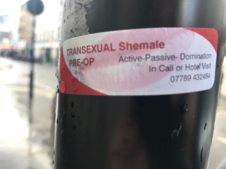 20190317_161630378_iOS