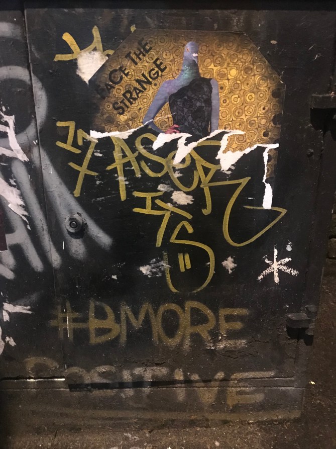 20190318_205049171_iOS