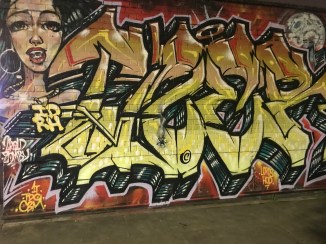 20190320_211505641_iOS