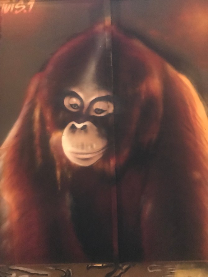 20190320_212013609_iOS