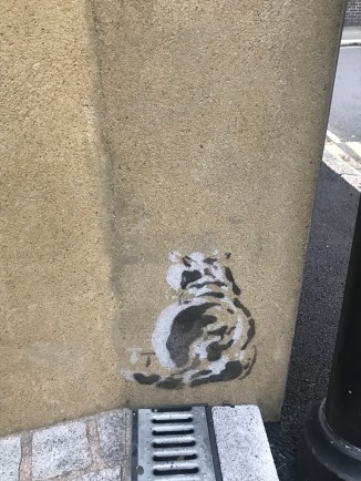 20190321_173853705_iOS