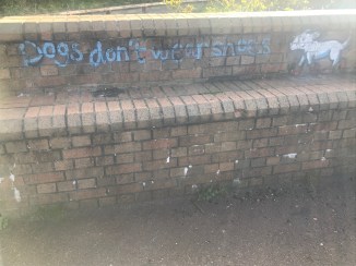 20190324_092541228_iOS