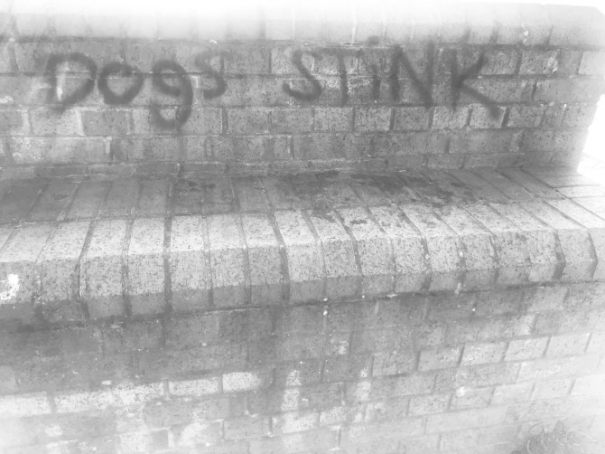 20190324_092557577_iOS