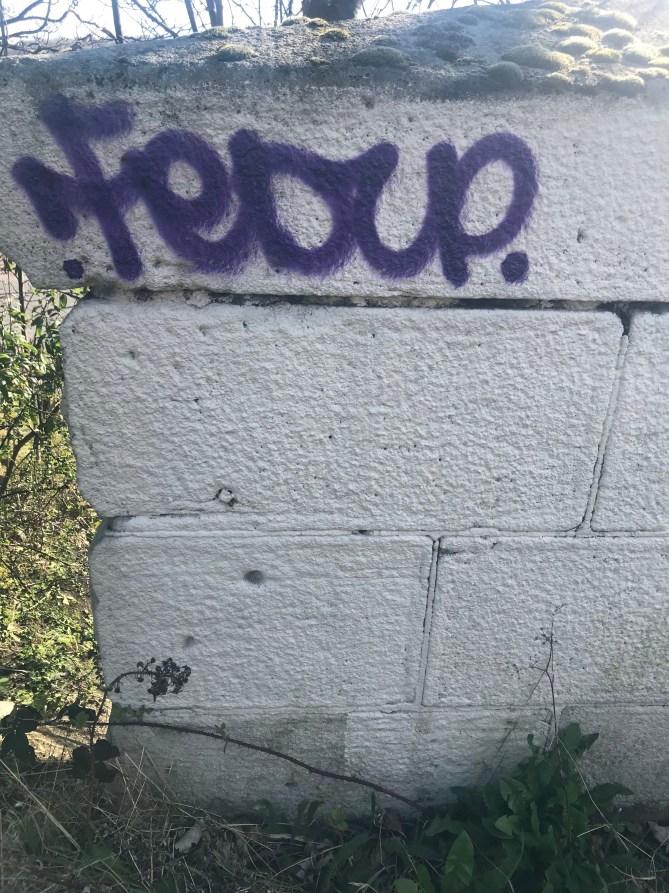 20190324_095648822_iOS