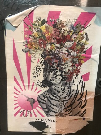 20190410_194424863_iOS